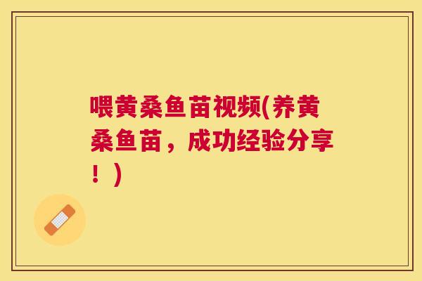 喂黄桑鱼苗视频(养黄桑鱼苗,成功经验分享!) 喂黄桑鱼苗视频(养黄桑鱼苗,成功经验分享!)