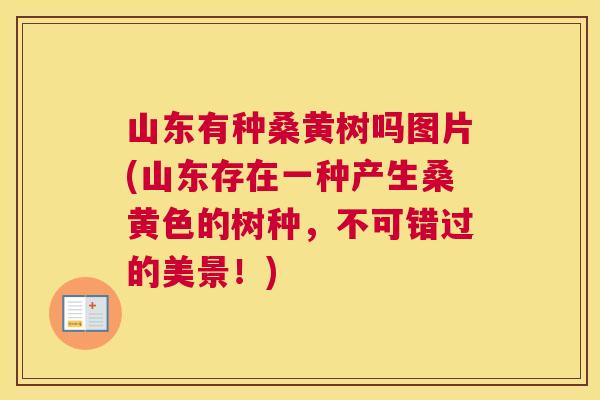 山东有种桑黄树吗图片(山东存在一种产生桑黄色的树种,不可错过的美景!) 山东有种桑黄树吗图片(山东存在一种产生桑黄色的树种,不可错过的美景!)
