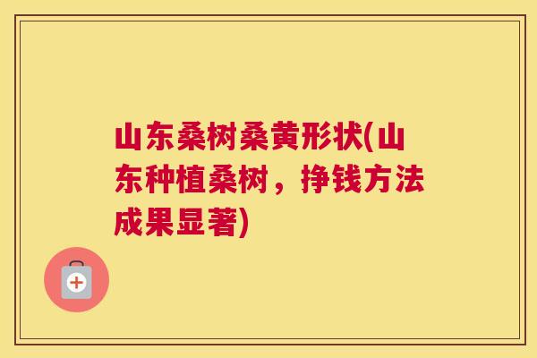 山东桑树桑黄形状(山东种植桑树,挣钱方法成果显著) 山东桑树桑黄形状(山东种植桑树,挣钱方法成果显著)
