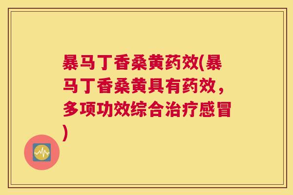 暴马丁香桑黄(暴马丁香桑黄具有,多项功效综合) 暴马丁香桑黄(暴马丁香桑黄具有,多项功效综合)
