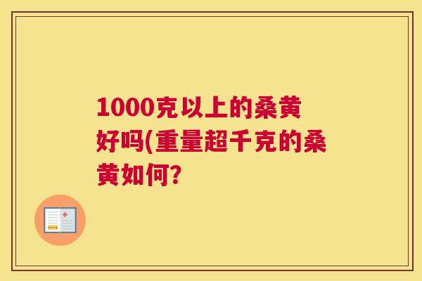 1000克以上的桑黄好吗(重量超千克的桑黄如何? 1000克以上的桑黄好吗(重量超千克的桑黄如何?
