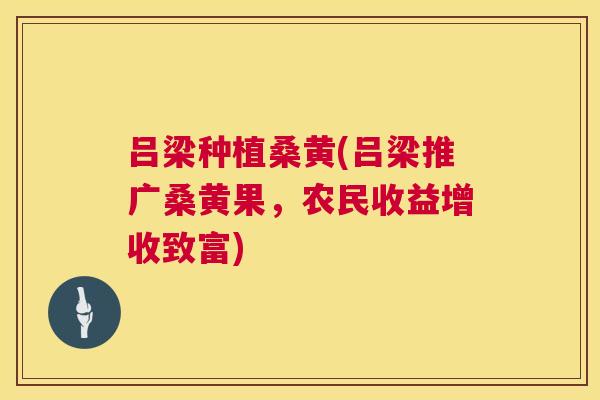 吕梁种植桑黄(吕梁推广桑黄果,农民收益增收致富) 吕梁种植桑黄(吕梁推广桑黄果,农民收益增收致富)