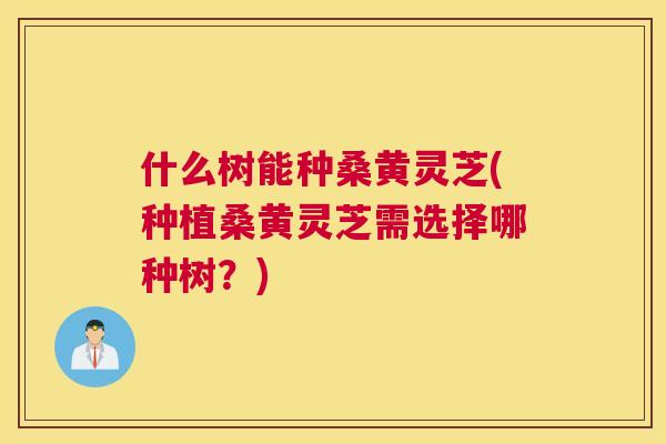什么树能种桑黄灵芝(种植桑黄灵芝需选择哪种树?) 什么树能种桑黄灵芝(种植桑黄灵芝需选择哪种树?)