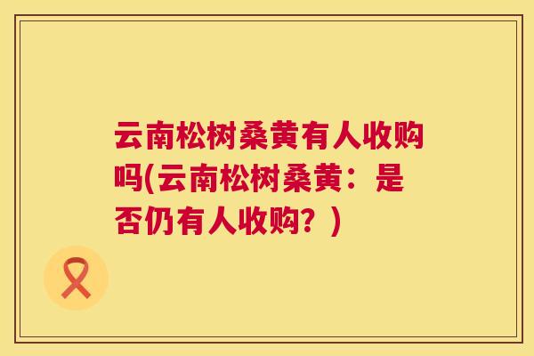 云南松树桑黄有人收购吗(云南松树桑黄:是否仍有人收购?) 云南松树桑黄有人收购吗(云南松树桑黄:是否仍有人收购?)