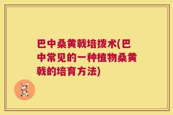 巴中桑黄戟培拨术(巴中常见的一种植物桑黄戟的培育方法) 巴中桑黄戟培拨术(巴中常见的一种植物桑黄戟的培育方法)