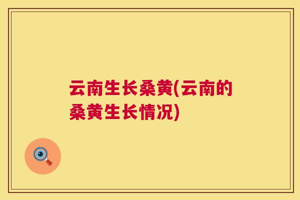 云南生长桑黄(云南的桑黄生长情况) 云南生长桑黄(云南的桑黄生长情况)