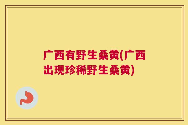 广西有野生桑黄(广西出现珍稀野生桑黄) 广西有野生桑黄(广西出现珍稀野生桑黄)