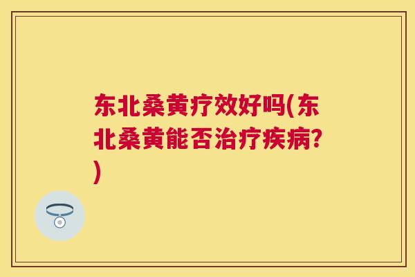 东北桑黄疗效好吗(东北桑黄能否?) 东北桑黄疗效好吗(东北桑黄能否?)