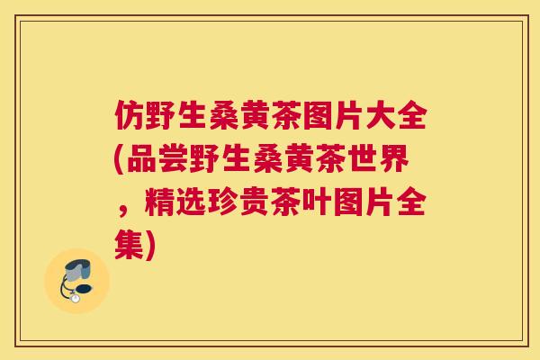 仿野生桑黄茶图片大全(品尝野生桑黄茶世界,精选珍贵茶叶图片全集) 仿野生桑黄茶图片大全(品尝野生桑黄茶世界,精选珍贵茶叶图片全集)