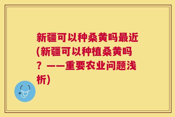 新疆可以种桑黄吗近(新疆可以种植桑黄吗?——重要农业问题浅析) 新疆可以种桑黄吗近(新疆可以种植桑黄吗?——重要农业问题浅析)