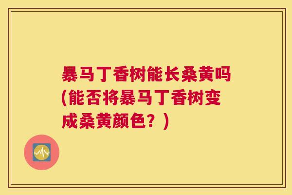 暴马丁香树能长桑黄吗(能否将暴马丁香树变成桑黄颜色?) 暴马丁香树能长桑黄吗(能否将暴马丁香树变成桑黄颜色?)