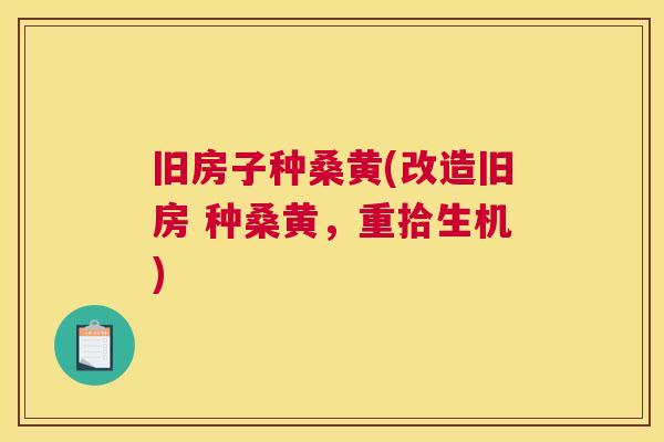 旧房子种桑黄(改造旧房 种桑黄,重拾生机) 旧房子种桑黄(改造旧房 种桑黄,重拾生机)