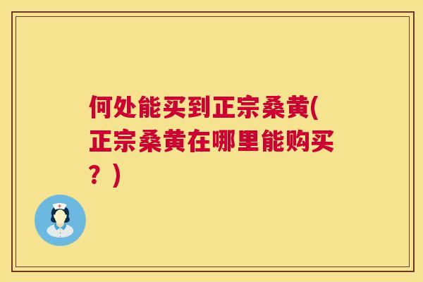 何处能买到正宗桑黄(正宗桑黄在哪里能购买?) 何处能买到正宗桑黄(正宗桑黄在哪里能购买?)