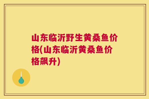 山东临沂野生黄桑鱼价格(山东临沂黄桑鱼价格飙升) 山东临沂野生黄桑鱼价格(山东临沂黄桑鱼价格飙升)