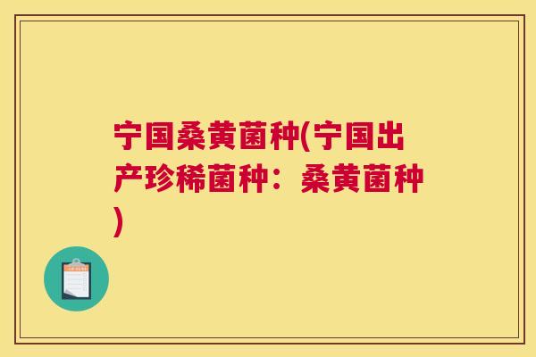 宁国桑黄菌种(宁国出产珍稀菌种:桑黄菌种) 宁国桑黄菌种(宁国出产珍稀菌种:桑黄菌种)
