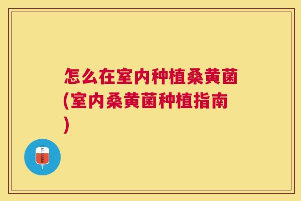 怎么在室内种植桑黄菌(室内桑黄菌种植指南) 怎么在室内种植桑黄菌(室内桑黄菌种植指南)