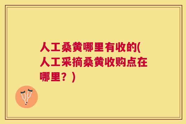 人工桑黄哪里有收的(人工采摘桑黄收购点在哪里?) 人工桑黄哪里有收的(人工采摘桑黄收购点在哪里?)