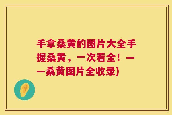 手拿桑黄的图片大全手握桑黄,一次看全!——桑黄图片全收录) 手拿桑黄的图片大全手握桑黄,一次看全!——桑黄图片全收录)