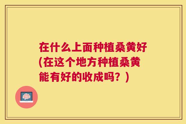 在什么上面种植桑黄好(在这个地方种植桑黄能有好的收成吗?) 在什么上面种植桑黄好(在这个地方种植桑黄能有好的收成吗?)