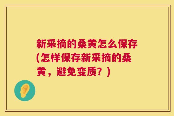新采摘的桑黄怎么保存(怎样保存新采摘的桑黄,避免变质?) 新采摘的桑黄怎么保存(怎样保存新采摘的桑黄,避免变质?)
