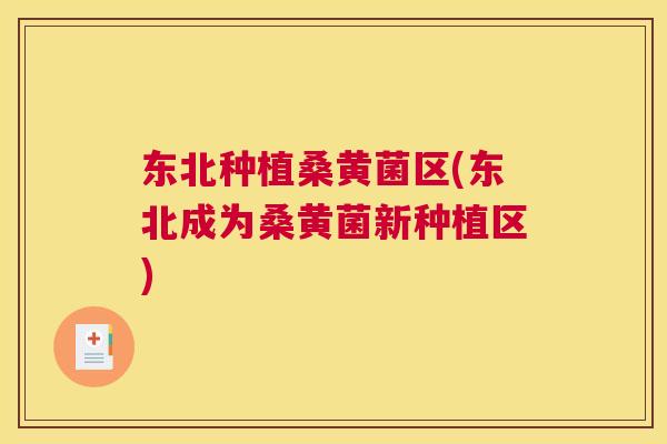 东北种植桑黄菌区(东北成为桑黄菌新种植区) 东北种植桑黄菌区(东北成为桑黄菌新种植区)