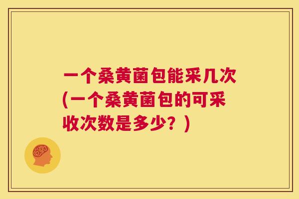 一个桑黄菌包能采几次(一个桑黄菌包的可采收次数是多少?) 一个桑黄菌包能采几次(一个桑黄菌包的可采收次数是多少?)