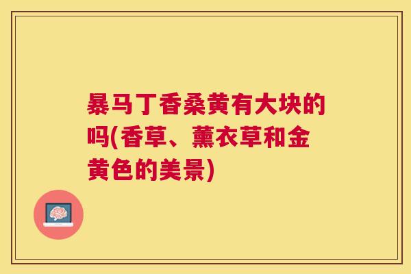 暴马丁香桑黄有大块的吗(香草、薰衣草和金黄色的美景) 暴马丁香桑黄有大块的吗(香草、薰衣草和金黄色的美景)