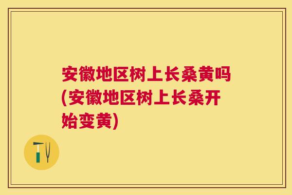 安徽地区树上长桑黄吗(安徽地区树上长桑开始变黄) 安徽地区树上长桑黄吗(安徽地区树上长桑开始变黄)