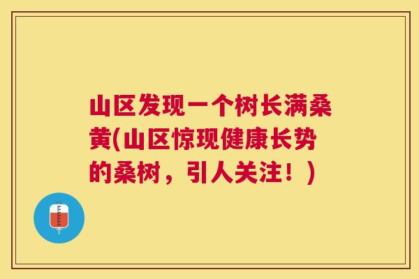 山区发现一个树长满桑黄(山区惊现健康长势的桑树,引人关注!) 山区发现一个树长满桑黄(山区惊现健康长势的桑树,引人关注!)