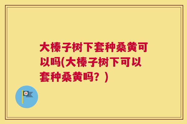 大榛子树下套种桑黄可以吗(大榛子树下可以套种桑黄吗?) 大榛子树下套种桑黄可以吗(大榛子树下可以套种桑黄吗?)