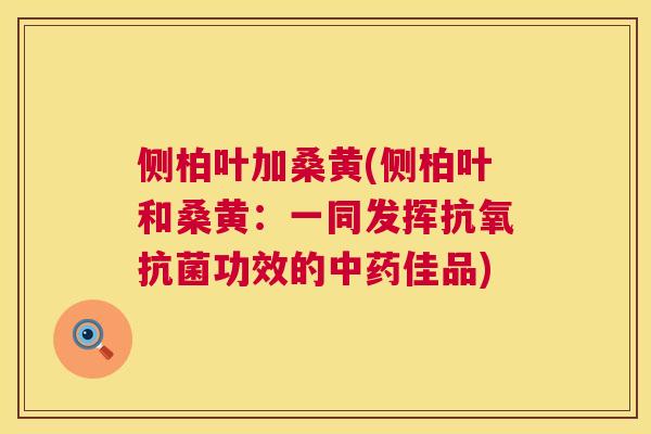 侧柏叶加桑黄(侧柏叶和桑黄:一同发挥抗氧功效的佳品) 侧柏叶加桑黄(侧柏叶和桑黄:一同发挥抗氧功效的佳品)