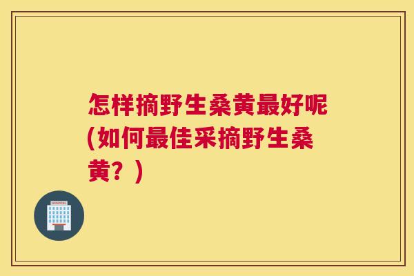 怎样摘野生桑黄好呢(如何佳采摘野生桑黄?) 怎样摘野生桑黄好呢(如何佳采摘野生桑黄?)