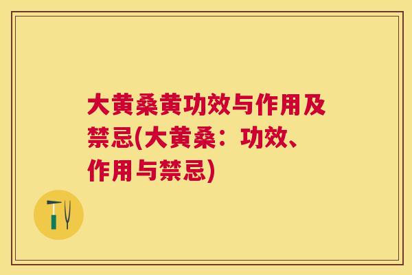 大黄桑黄功效与作用及禁忌(大黄桑：功效、作用与禁忌)