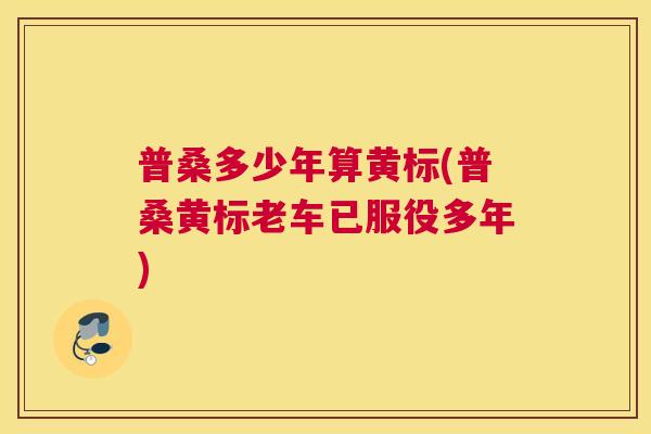 普桑多少年算黄标(普桑黄标老车已服役多年) 普桑多少年算黄标(普桑黄标老车已服役多年)