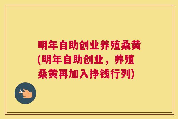 明年自助创业养殖桑黄(明年自助创业,养殖桑黄再加入挣钱行列) 明年自助创业养殖桑黄(明年自助创业,养殖桑黄再加入挣钱行列)