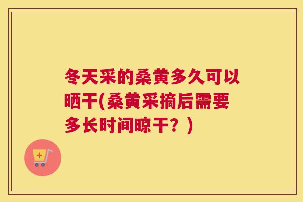 冬天采的桑黄多久可以晒干(桑黄采摘后需要多长时间晾干?) 冬天采的桑黄多久可以晒干(桑黄采摘后需要多长时间晾干?)