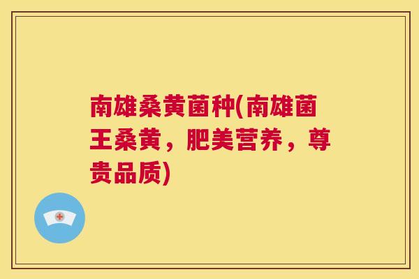 南雄桑黄菌种(南雄菌王桑黄,肥美营养,尊贵品质) 南雄桑黄菌种(南雄菌王桑黄,肥美营养,尊贵品质)