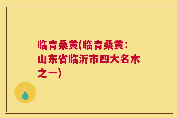 临青桑黄(临青桑黄:山东省临沂市四大名木之一) 临青桑黄(临青桑黄:山东省临沂市四大名木之一)