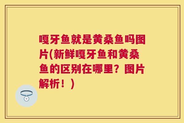 嘎牙鱼就是黄桑鱼吗图片(新鲜嘎牙鱼和黄桑鱼的区别在哪里?图片解析!) 嘎牙鱼就是黄桑鱼吗图片(新鲜嘎牙鱼和黄桑鱼的区别在哪里?图片解析!)