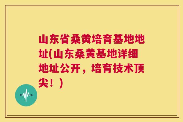 山东省桑黄培育基地地址(山东桑黄基地详细地址公开,培育技术!) 山东省桑黄培育基地地址(山东桑黄基地详细地址公开,培育技术!)