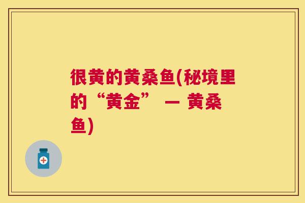 很黄的黄桑鱼(秘境里的“黄金” — 黄桑鱼) 很黄的黄桑鱼(秘境里的“黄金” — 黄桑鱼)