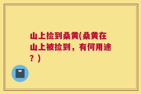 山上捡到桑黄(桑黄在山上被捡到,有何用途?) 山上捡到桑黄(桑黄在山上被捡到,有何用途?)