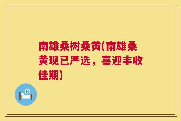 南雄桑树桑黄(南雄桑黄现已严选,喜迎丰收佳期) 南雄桑树桑黄(南雄桑黄现已严选,喜迎丰收佳期)