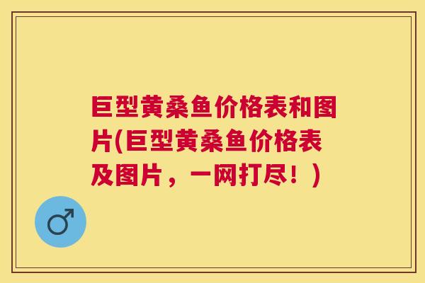 巨型黄桑鱼价格表和图片(巨型黄桑鱼价格表及图片,一网打尽!) 巨型黄桑鱼价格表和图片(巨型黄桑鱼价格表及图片,一网打尽!)