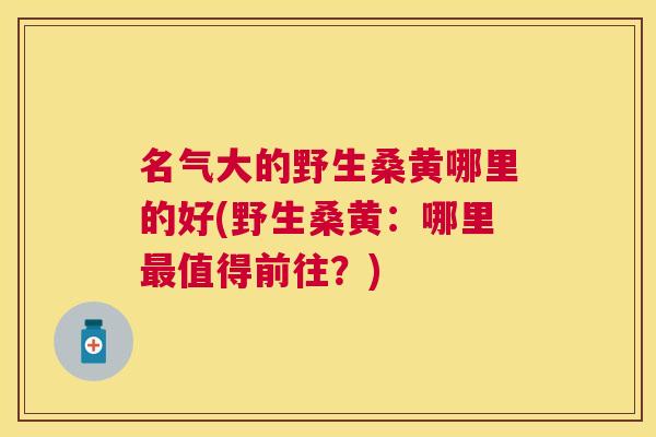 名气大的野生桑黄哪里的好(野生桑黄:哪里值得前往?) 名气大的野生桑黄哪里的好(野生桑黄:哪里值得前往?)