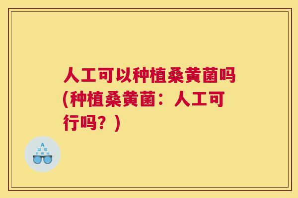 人工可以种植桑黄菌吗(种植桑黄菌:人工可行吗?) 人工可以种植桑黄菌吗(种植桑黄菌:人工可行吗?)