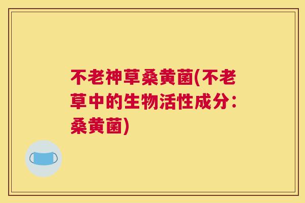 不老神草桑黄菌(不老草中的生物活性成分:桑黄菌) 不老神草桑黄菌(不老草中的生物活性成分:桑黄菌)
