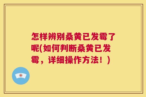 怎样辨别桑黄已发霉了呢(如何判断桑黄已发霉,详细操作方法!) 怎样辨别桑黄已发霉了呢(如何判断桑黄已发霉,详细操作方法!)