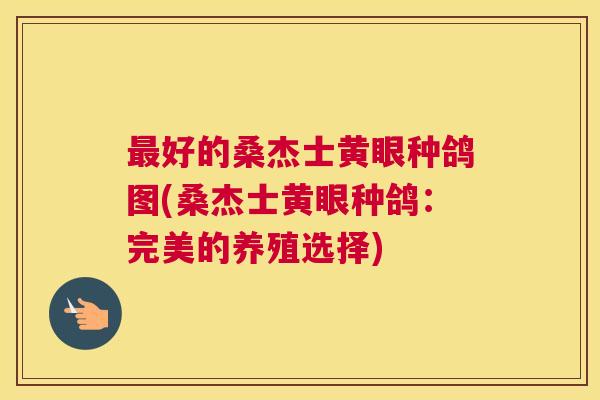好的桑杰士黄眼种鸽图(桑杰士黄眼种鸽:完美的养殖选择) 好的桑杰士黄眼种鸽图(桑杰士黄眼种鸽:完美的养殖选择)
