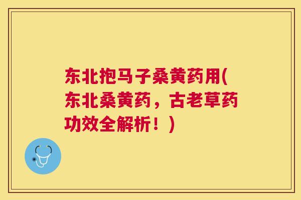 东北抱马子桑黄药用(东北桑黄药,古老草药功效全解析!) 东北抱马子桑黄药用(东北桑黄药,古老草药功效全解析!)